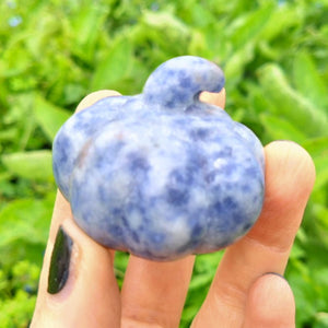 Sodalite Pumpkin Carving