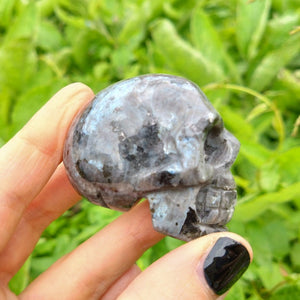 Astrophyllite Skull Carving