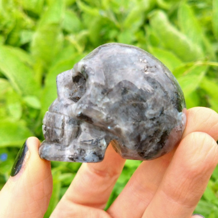 Astrophyllite Skull Carving